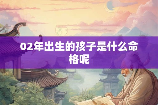 02年出生的孩子是什么命格呢