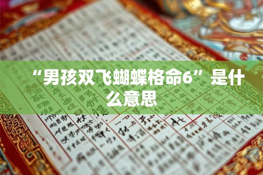 “男孩双飞蝴蝶格命6”是什么意思