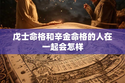 戊士命格和辛金命格的人在一起会怎样