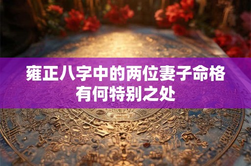 雍正八字中的两位妻子命格有何特别之处