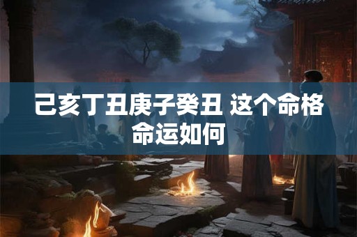 己亥丁丑庚子癸丑 这个命格命运如何