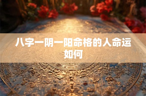 八字一阴一阳命格的人命运如何