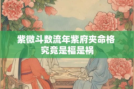 紫微斗数流年紫府夹命格 究竟是福是祸