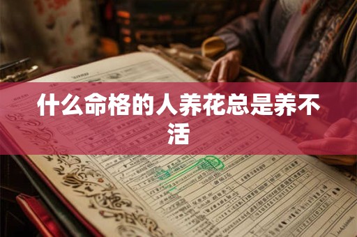 什么命格的人养花总是养不活