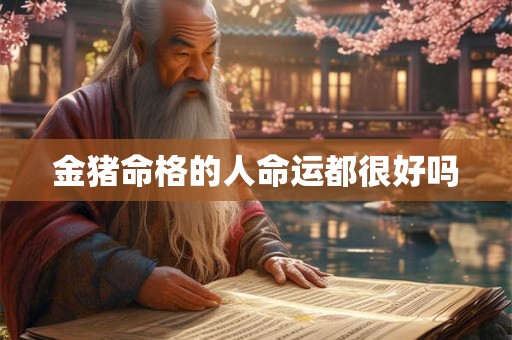 金猪命格的人命运都很好吗