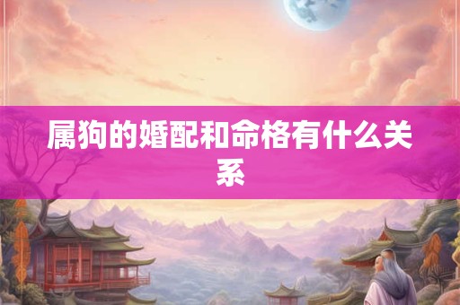 属狗的婚配和命格有什么关系