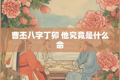 曹丕八字丁卯 他究竟是什么命