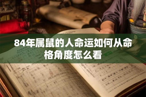 84年属鼠的人命运如何从命格角度怎么看