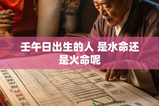 壬午日出生的人 是水命还是火命呢