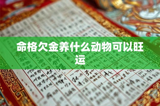 命格欠金养什么动物可以旺运