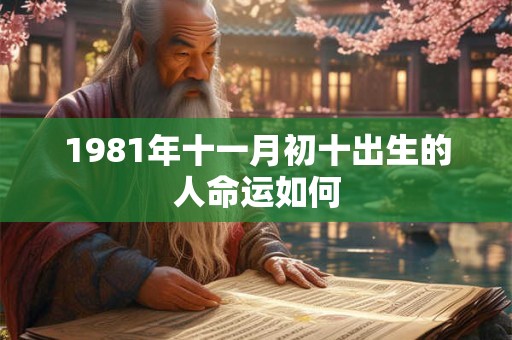 1981年十一月初十出生的人命运如何