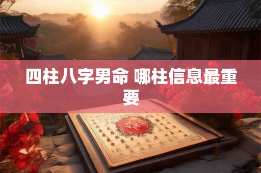 四柱八字男命 哪柱信息最重要