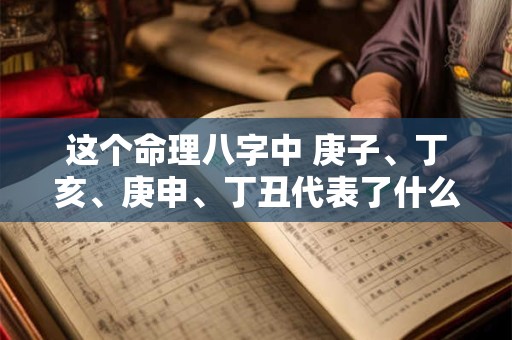 这个命理八字中 庚子、丁亥、庚申、丁丑代表了什么含义