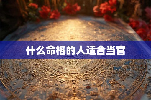 什么命格的人适合当官