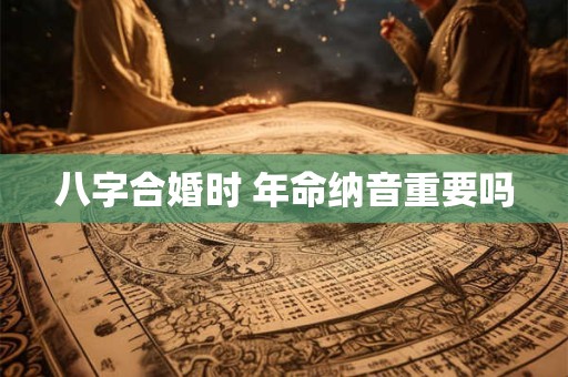 八字合婚时 年命纳音重要吗