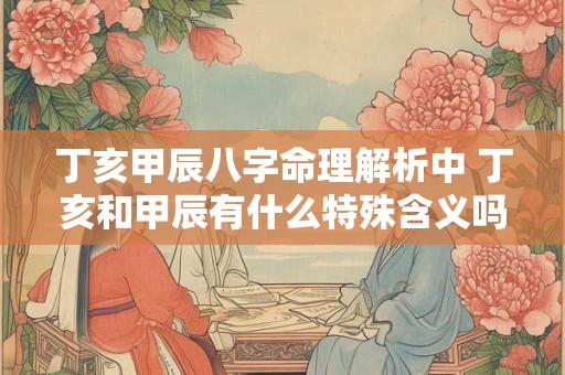 丁亥甲辰八字命理解析中 丁亥和甲辰有什么特殊含义吗