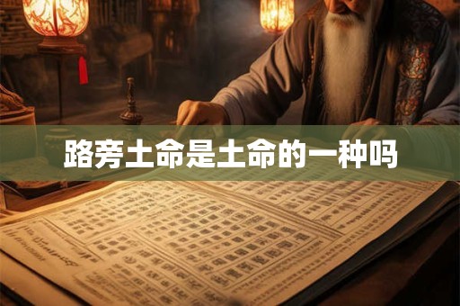 路旁土命是土命的一种吗