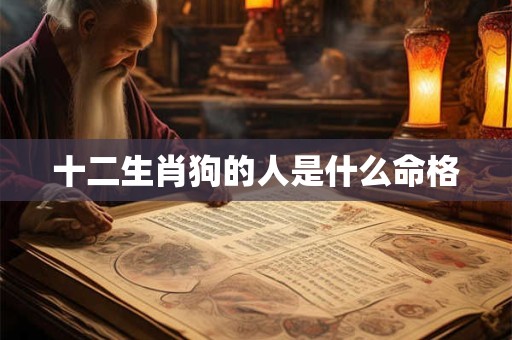 十二生肖狗的人是什么命格