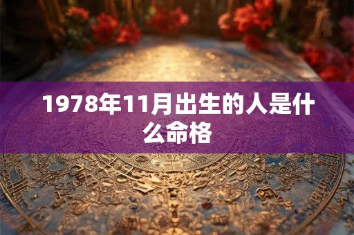 1978年11月出生的人是什么命格