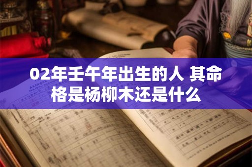 02年壬午年出生的人 其命格是杨柳木还是什么