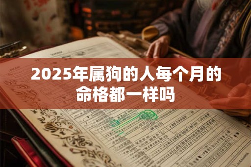 2025年属狗的人每个月的命格都一样吗