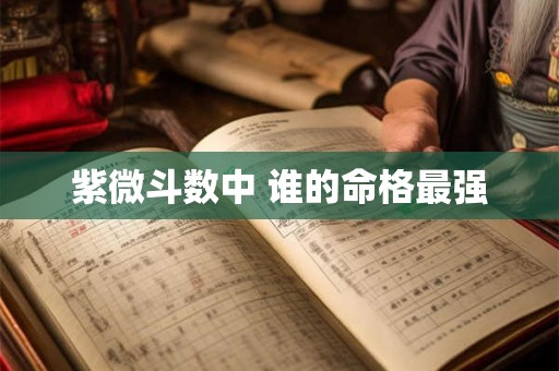 紫微斗数中 谁的命格最强