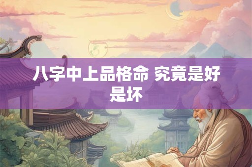 八字中上品格命 究竟是好是坏