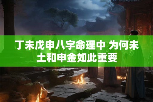 丁未戊申八字命理中 为何未土和申金如此重要