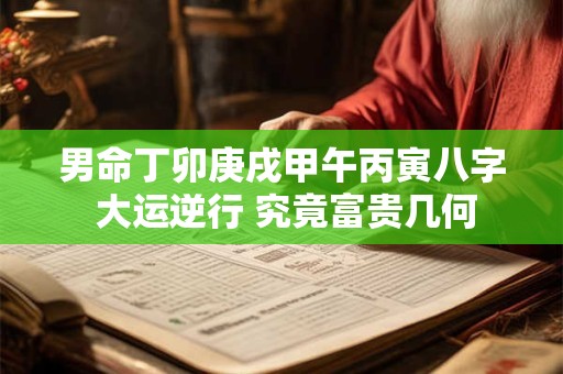 男命丁卯庚戌甲午丙寅八字 大运逆行 究竟富贵几何