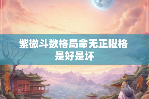 紫微斗数格局命无正曜格 是好是坏