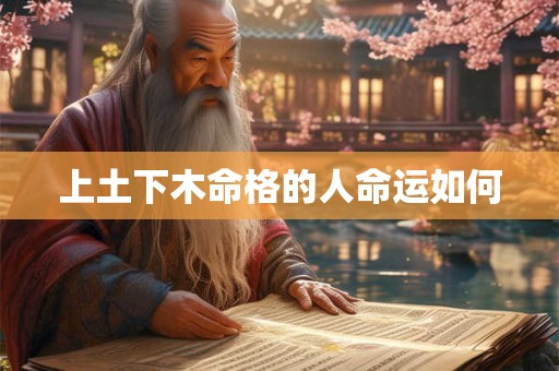 上土下木命格的人命运如何