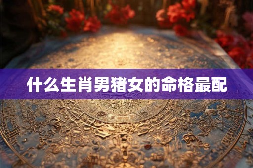 什么生肖男猪女的命格最配