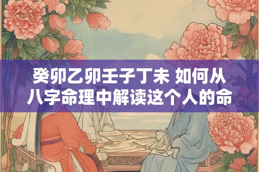 癸卯乙卯壬子丁未 如何从八字命理中解读这个人的命运