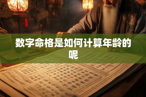 数字命格是如何计算年龄的呢