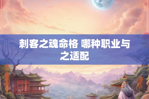 刺客之魂命格 哪种职业与之适配
