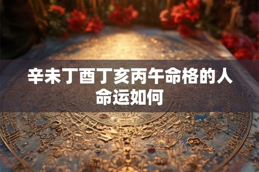 辛未丁酉丁亥丙午命格的人命运如何