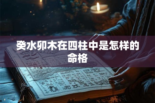 癸水卯木在四柱中是怎样的命格