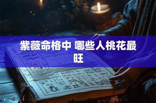 紫薇命格中 哪些人桃花最旺