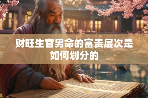 财旺生官男命的富贵层次是如何划分的