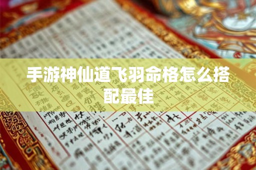 手游神仙道飞羽命格怎么搭配最佳
