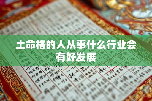 土命格的人从事什么行业会有好发展 土命格的人从事什么行业会有好发展