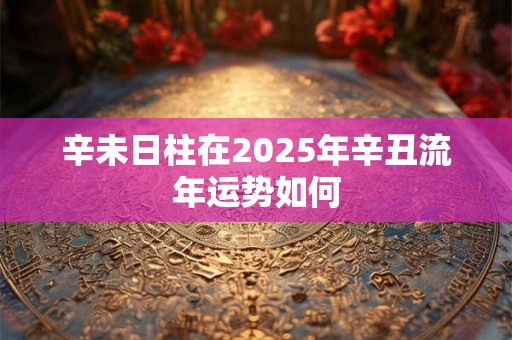辛未日柱在2025年辛丑流年运势如何