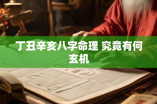 丁丑辛亥八字命理 究竟有何玄机