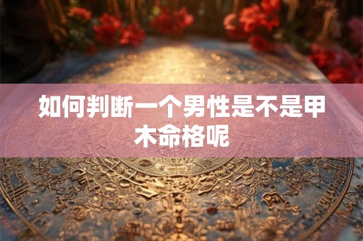 如何判断一个男性是不是甲木命格呢