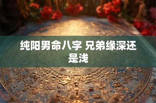 纯阳男命八字 兄弟缘深还是浅