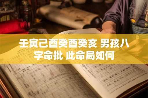 壬寅己酉癸酉癸亥 男孩八字命批 此命局如何