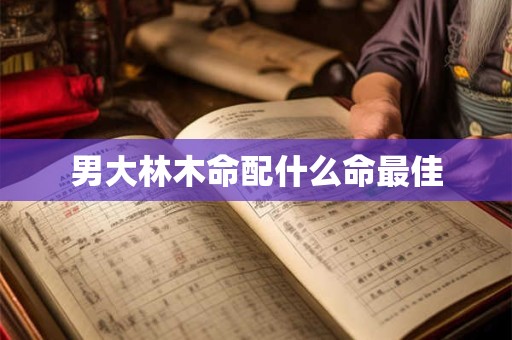 男大林木命配什么命最佳