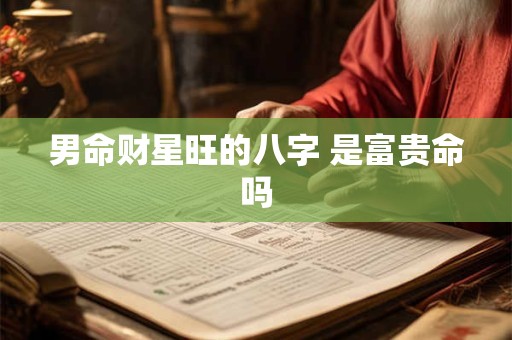 男命财星旺的八字 是富贵命吗