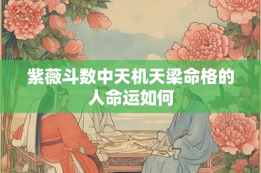 紫薇斗数中天机天梁命格的人命运如何