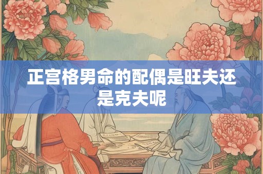 正宫格男命的配偶是旺夫还是克夫呢